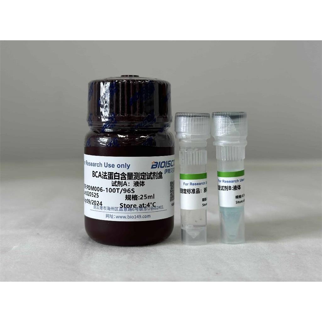 BCA法蛋白质含量测定试剂盒（微量法100T/96S）