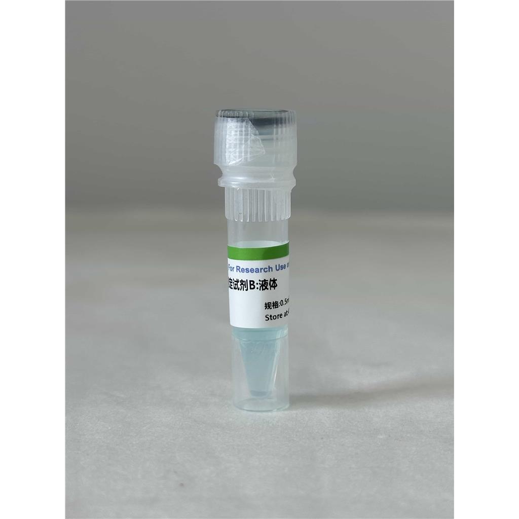 BCA法蛋白质含量测定试剂盒（微量法100T/96S）