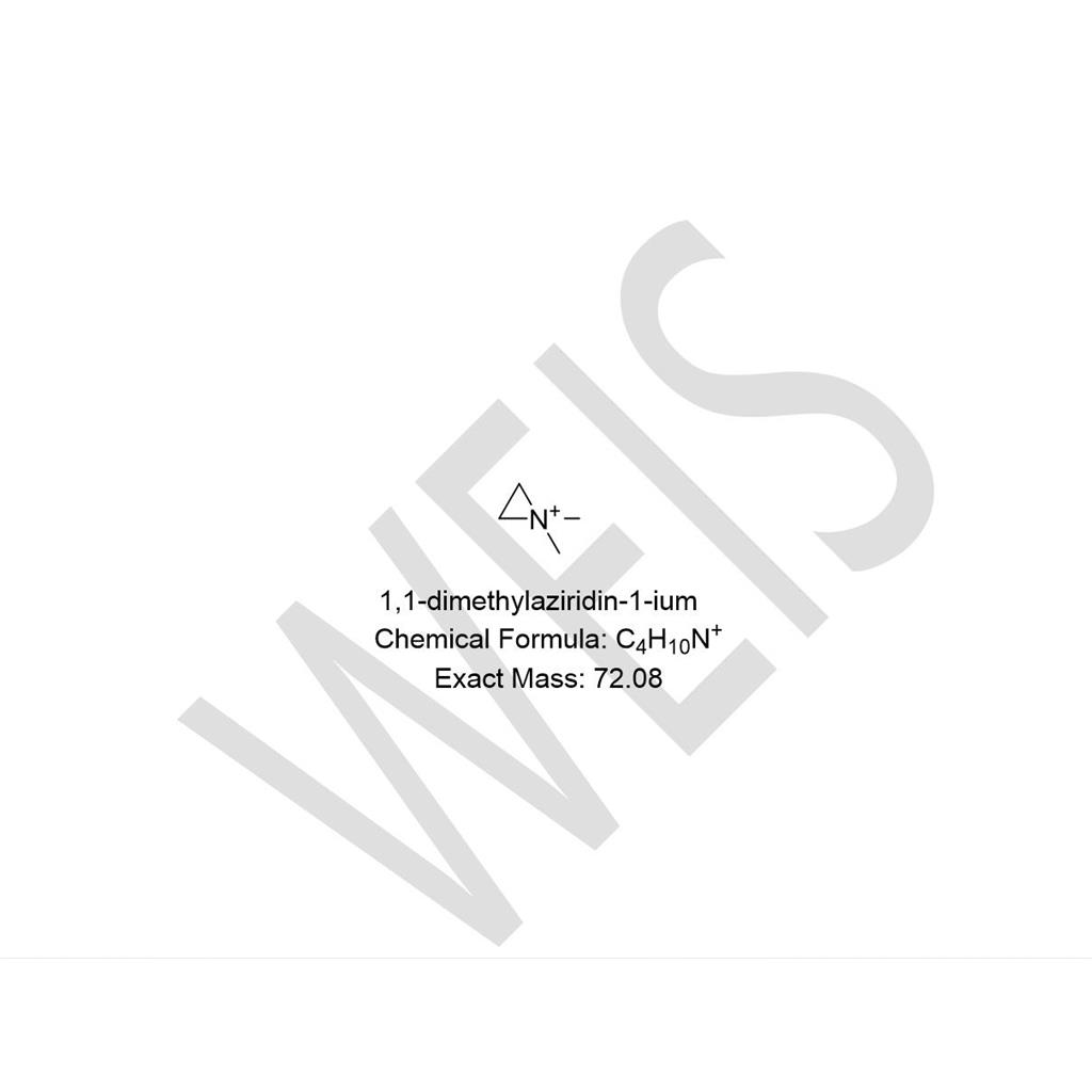 1,1-二甲基氮杂环丙烷-1-正离子