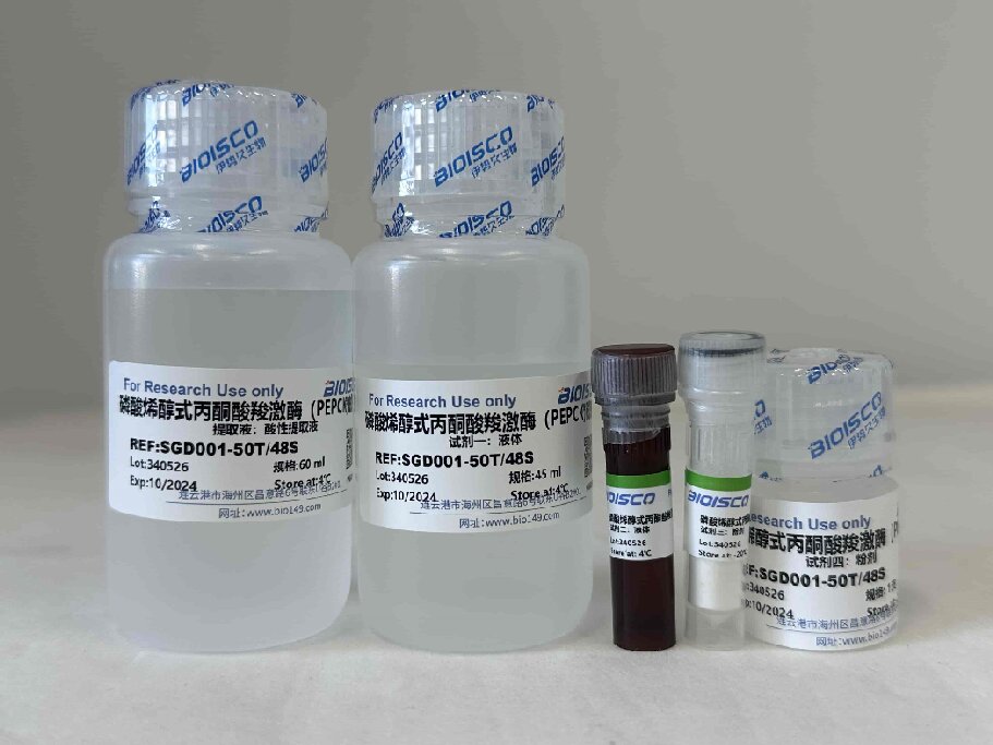 磷酸烯醇式丙酮酸羧激酶（PEPCK）检测试剂盒（50T/48S）