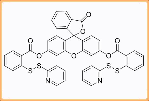 1593024-78-2.jpg 1593024-78-2.jpg