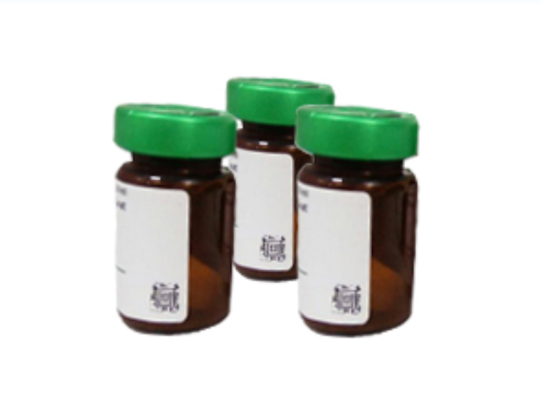 CaV1.2 (CACNA1C) 抗体