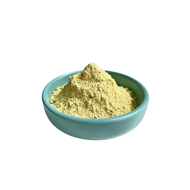 异槲皮素 95% 97%Isoquercitrin 482-35-9 异槲皮苷