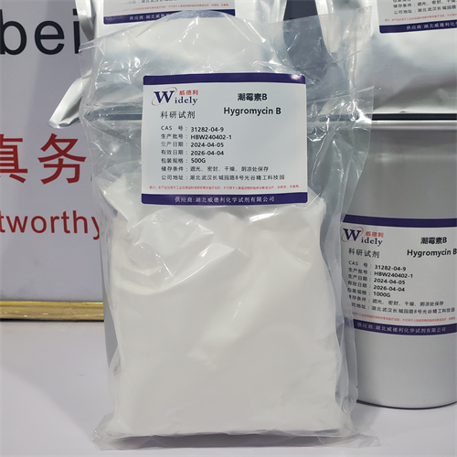 潮霉素B；潮霉素 B
