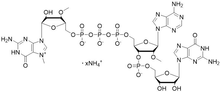 3'OMe-GAG Ammonium Salt Solution (100 mM)