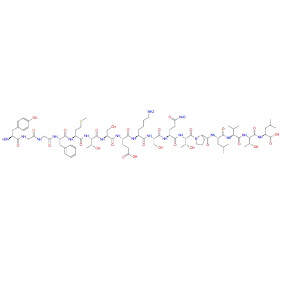 R-内啡肽，γ-Endorphin，60893-02-9，GAMMA-ENDORPHIN