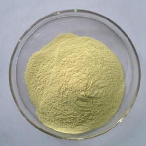 15785-09-8；氢氧化铈