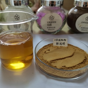 大枣提取物 大枣浓缩粉 水溶性好 固体饮料原料 斯诺特