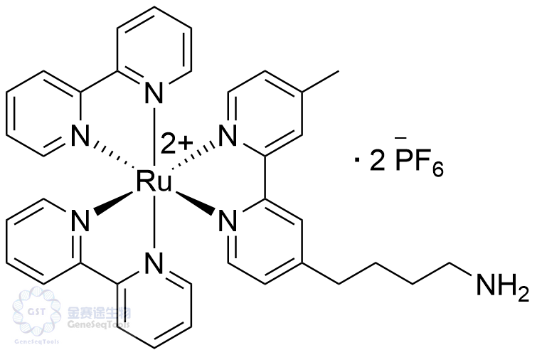 1118545-84-8 | Tris(2,2'-bipyridyl) ruthenium amine