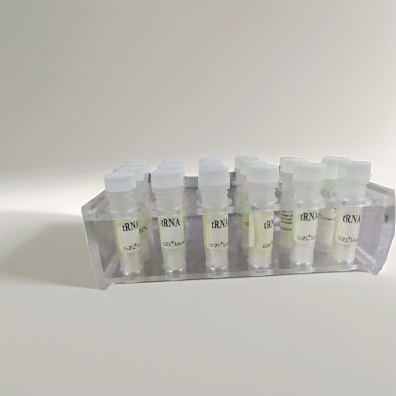 tRNA from E.coli/大肠杆菌tRNA