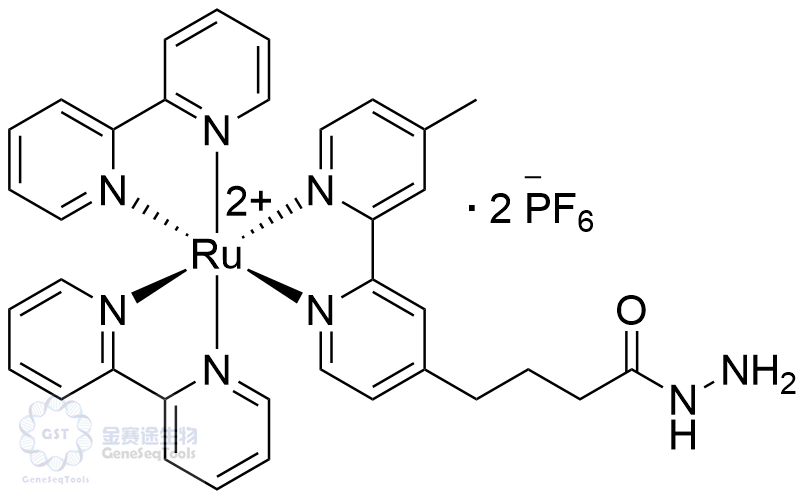 Tris(2,2'-bipyridyl) ruthenium hydrazide
