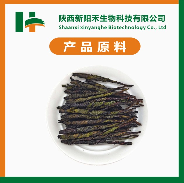 苦丁茶提取物 苦丁茶粉