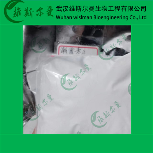潮霉素B-31282-04-9-效价≥1000μg/mg-高纯化学试剂-找维斯尔曼王华