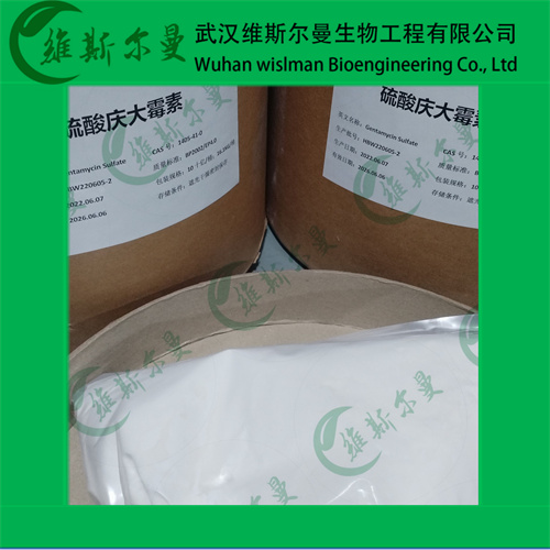 硫酸庆大霉素-1405-41-0-高纯试剂-找维斯尔曼王华