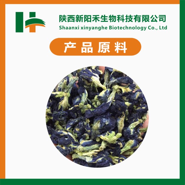 蝶豆花粉 蝶豆花提取物