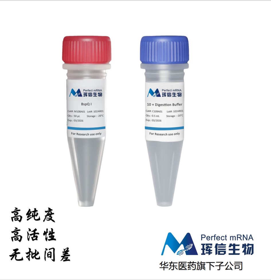 BspQ I限制性内切酶 BspQ I