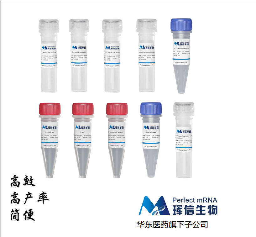 T7 高产率 RNA 共转录试剂盒  (N1-Me-pUTP)