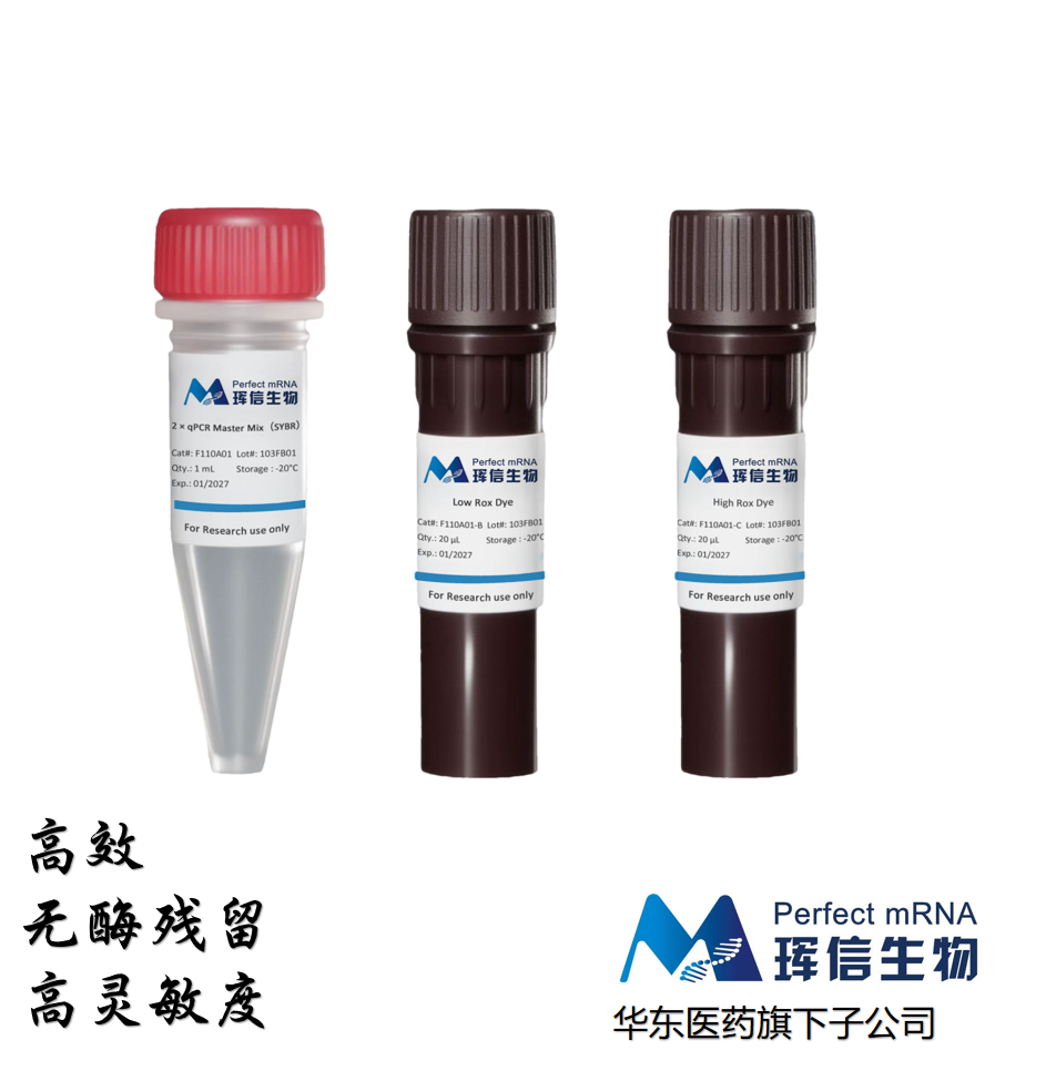 2× qPCR Master Mix(SYBR) 