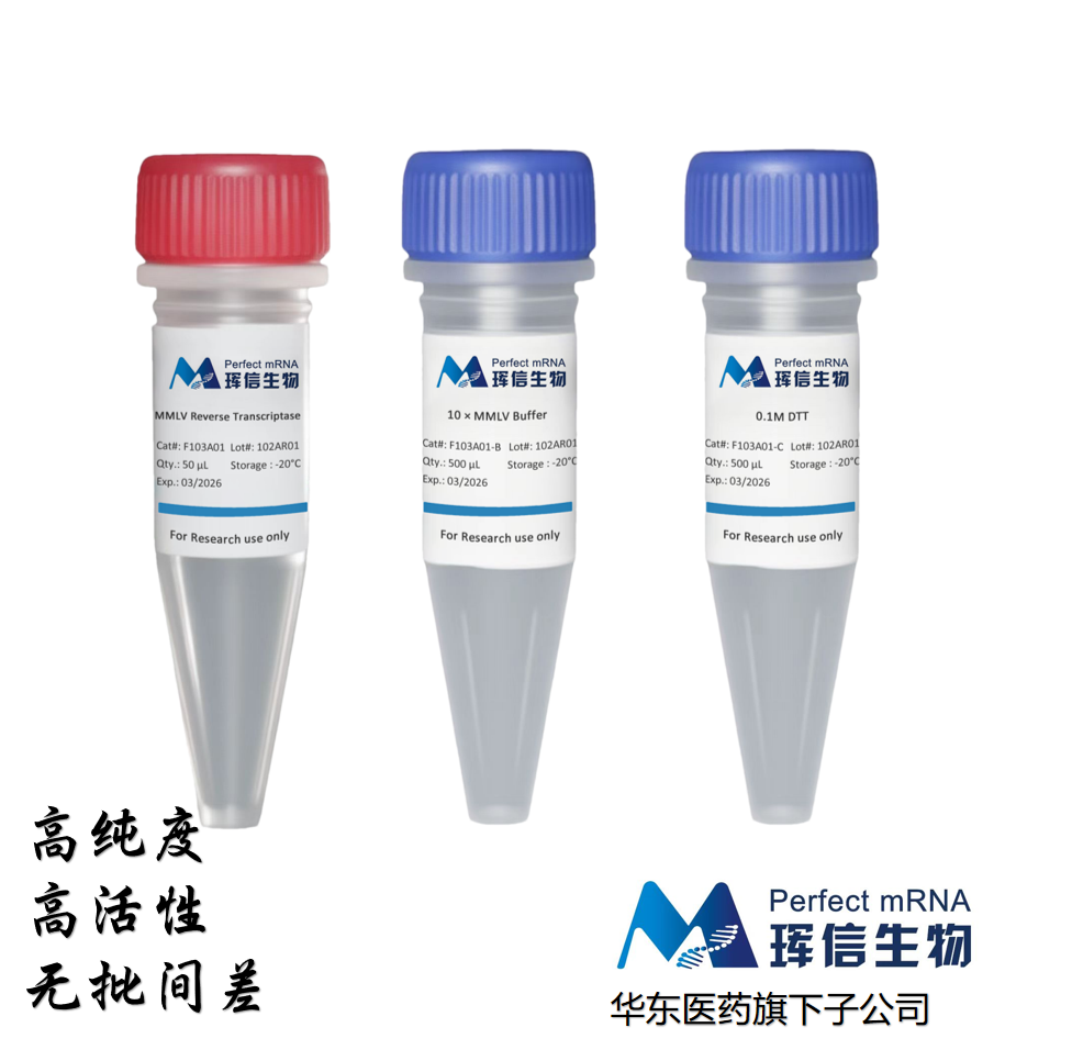 MMLV Reverse Transcriptase