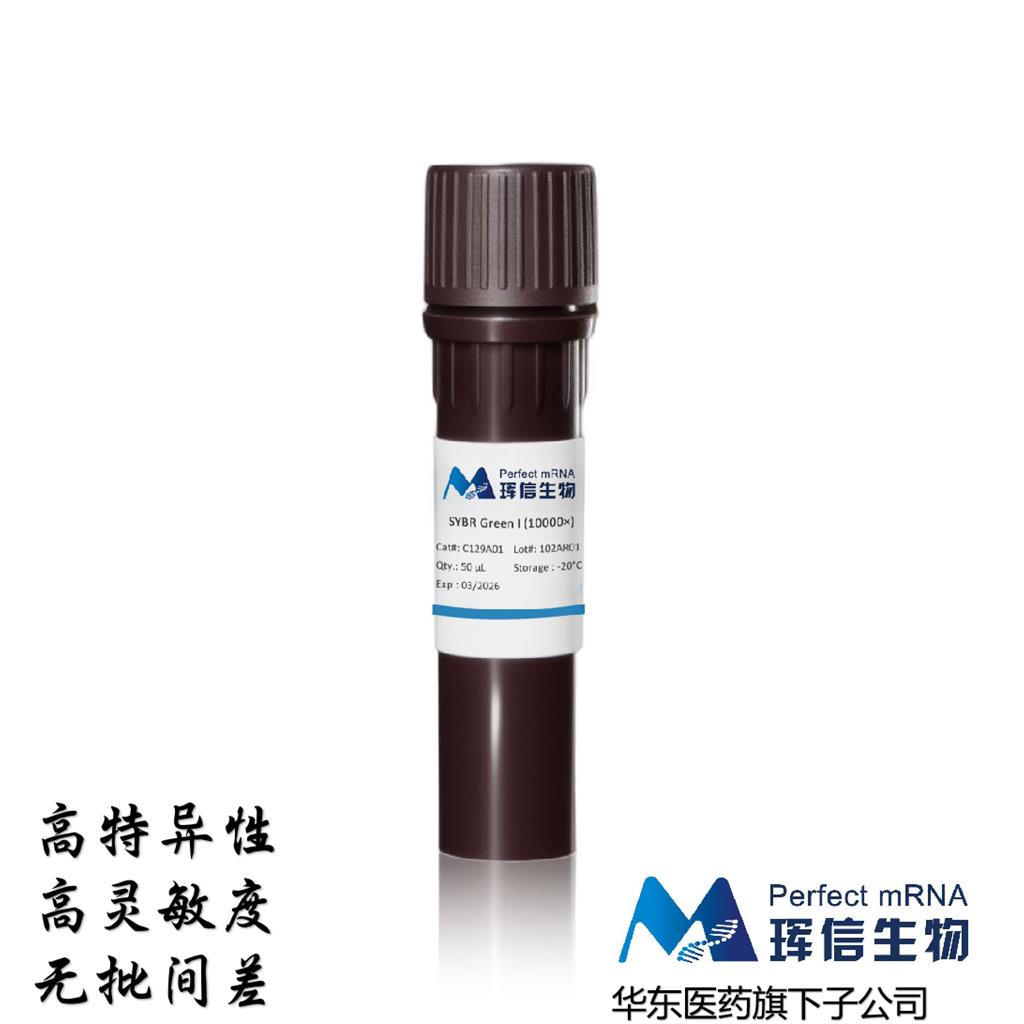 SYBR Green I (10,000×)