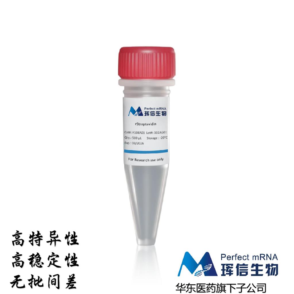 SUMO蛋白酶SUMO Protease