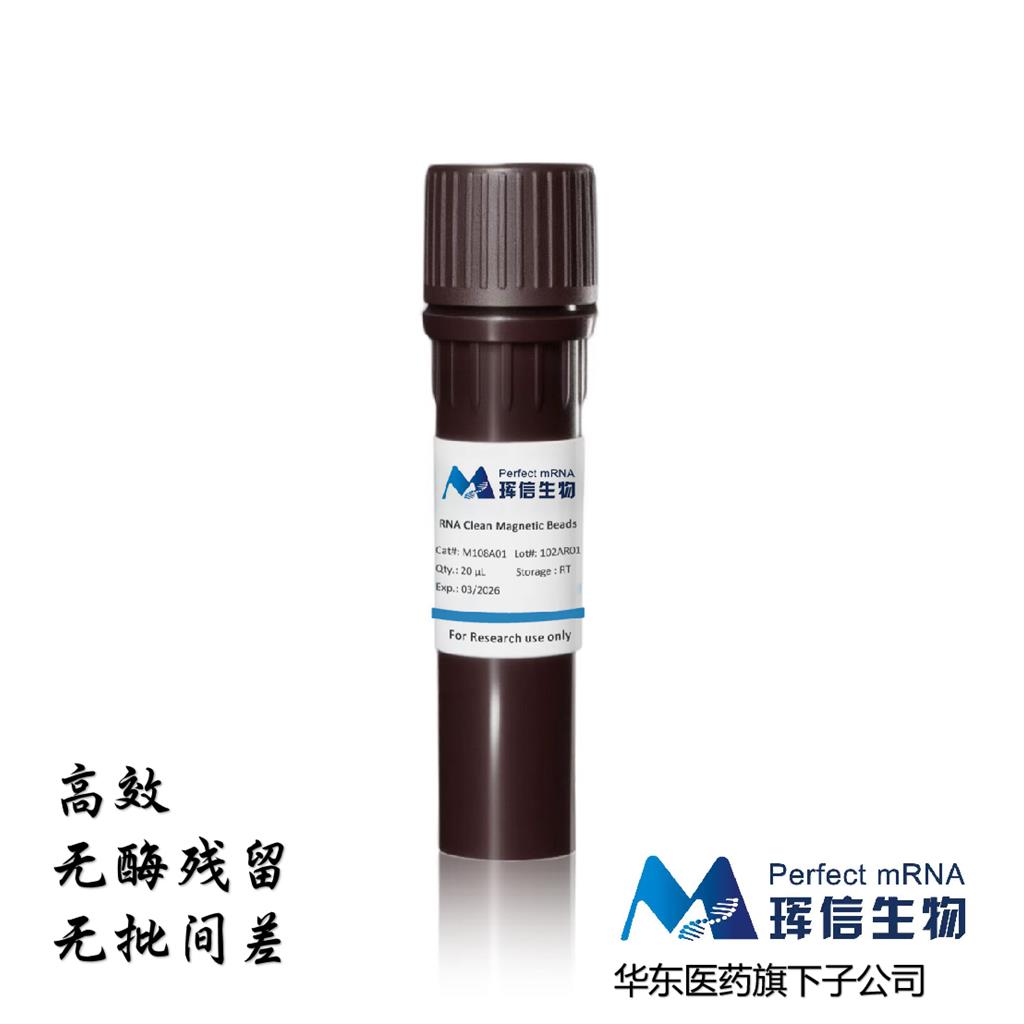 RNA 磁珠纯化试剂盒 RNA Clean Magnetic Beads