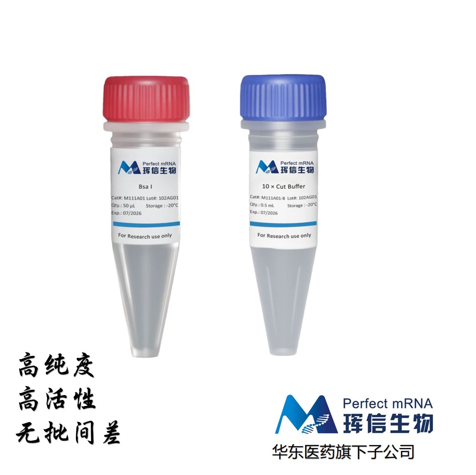 Bsa I限制性内切酶