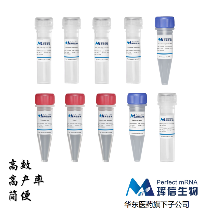 T7 Co Transcription RNA Kit(GAG)