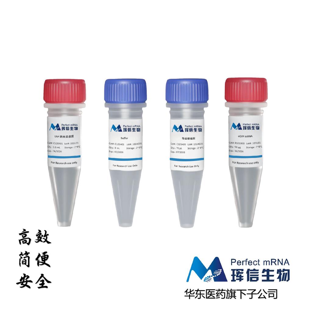 RNA原代免疫细胞转染试剂盒