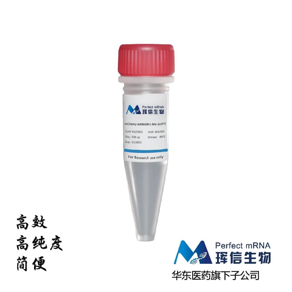 mCherry mRNA (N1-Me-pUTP)