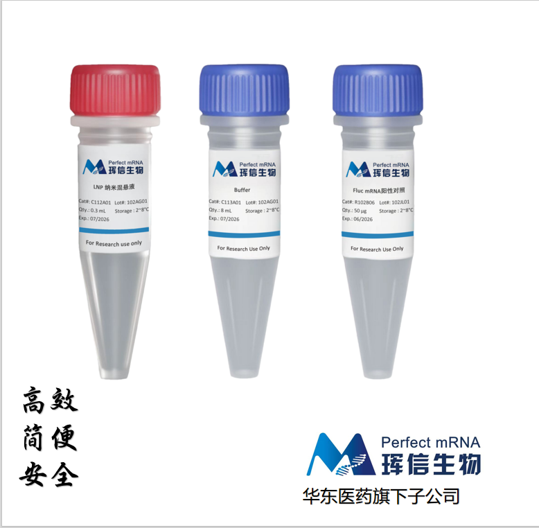 RNA体内转染试剂盒