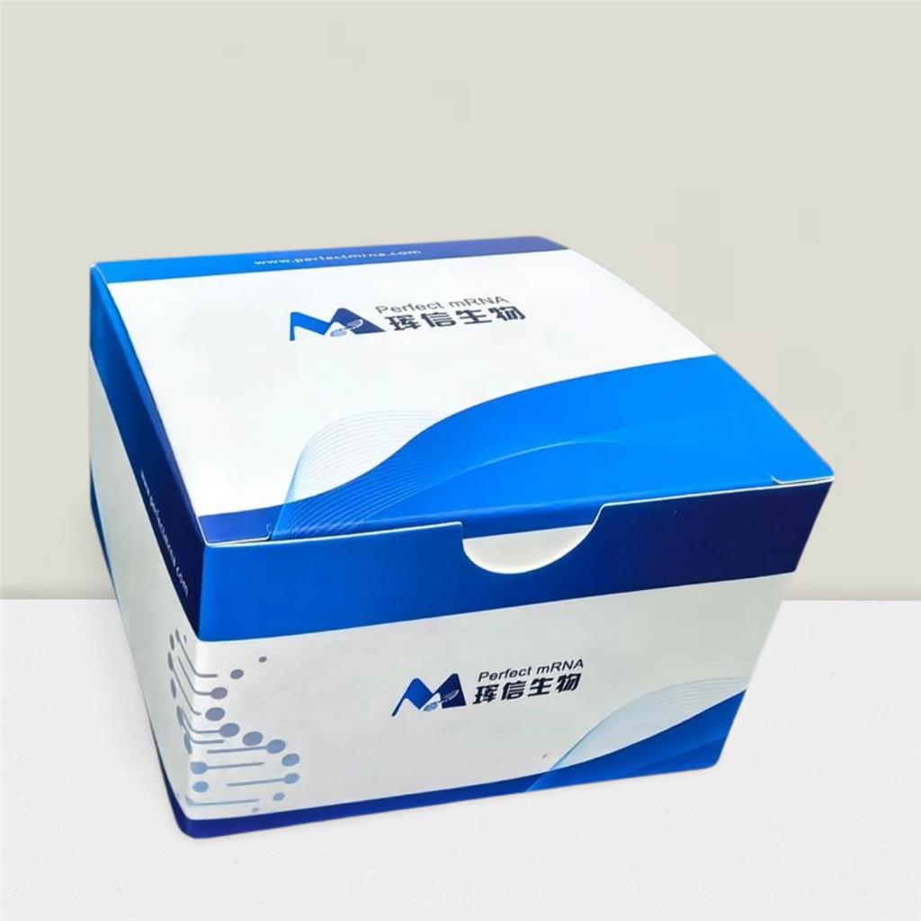 RNA体内转染试剂盒