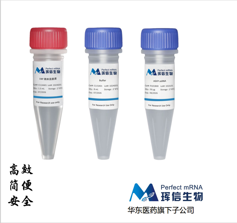 RNA细胞转染试剂盒