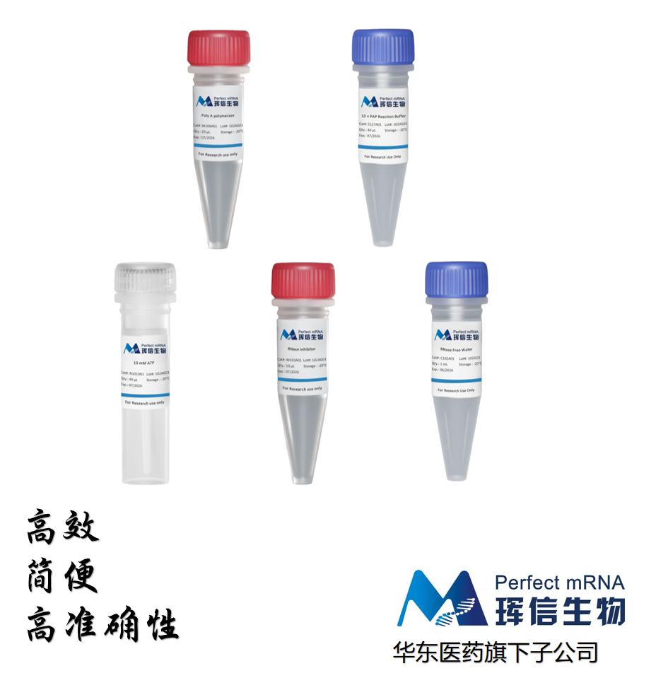 多聚腺苷酸聚合酶加尾试剂盒 Poly(A) Polymerase Tailing Kit