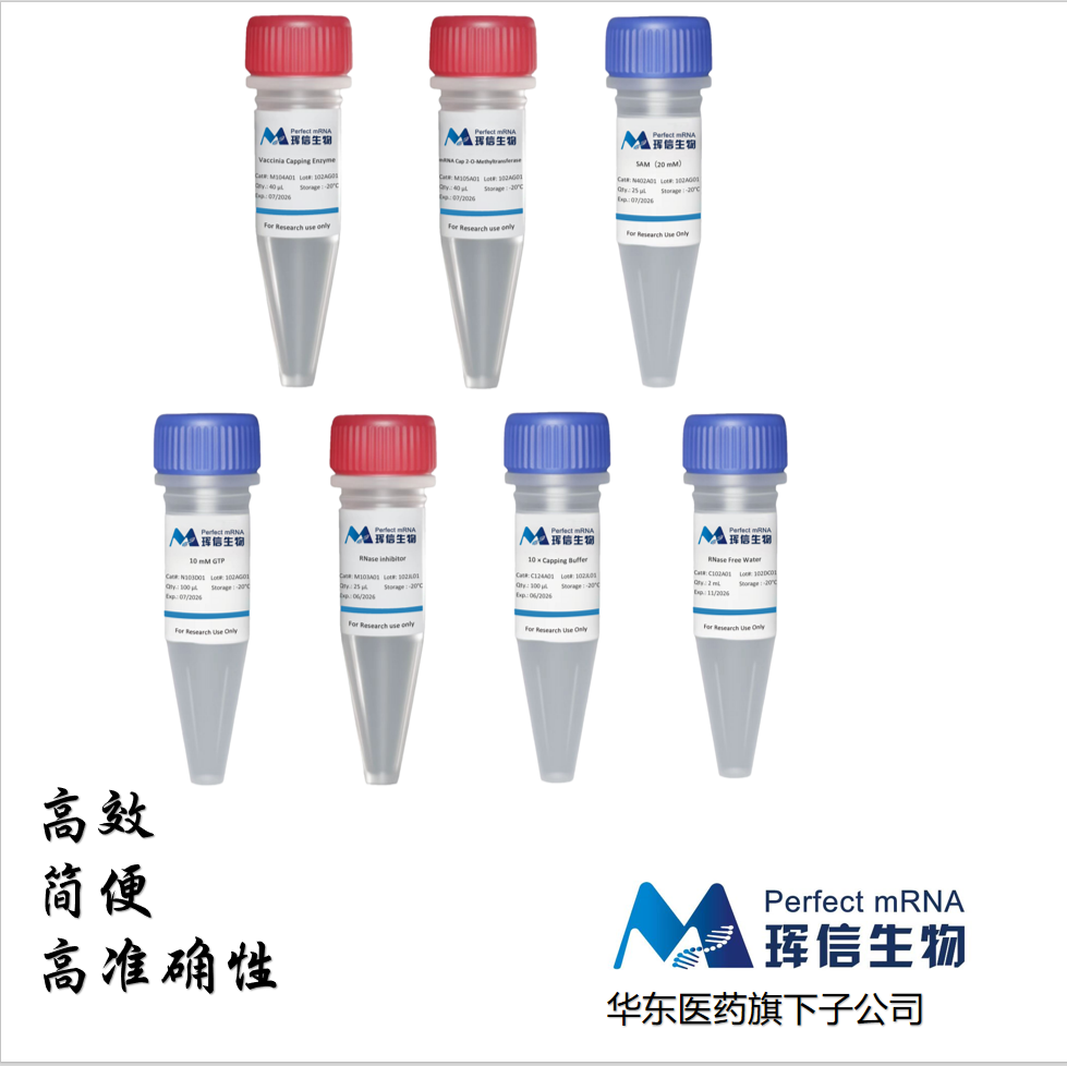 牛痘病毒加帽试剂盒Vaccinia Capping System