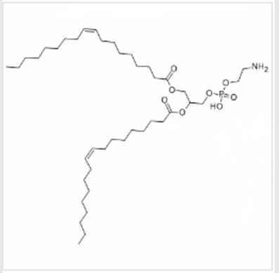 二油酰基 L-α-磷脂酰乙醇胺 可定制