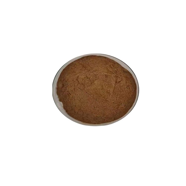 瓜拉纳提取物 营养强化剂食品级瓜拉纳粉84929-28-2