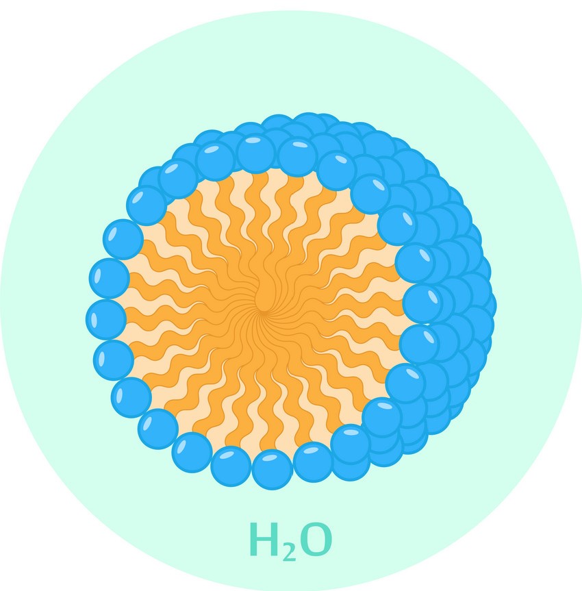NanoActive RETINAMIDE 中的酰胺结构非常稳定