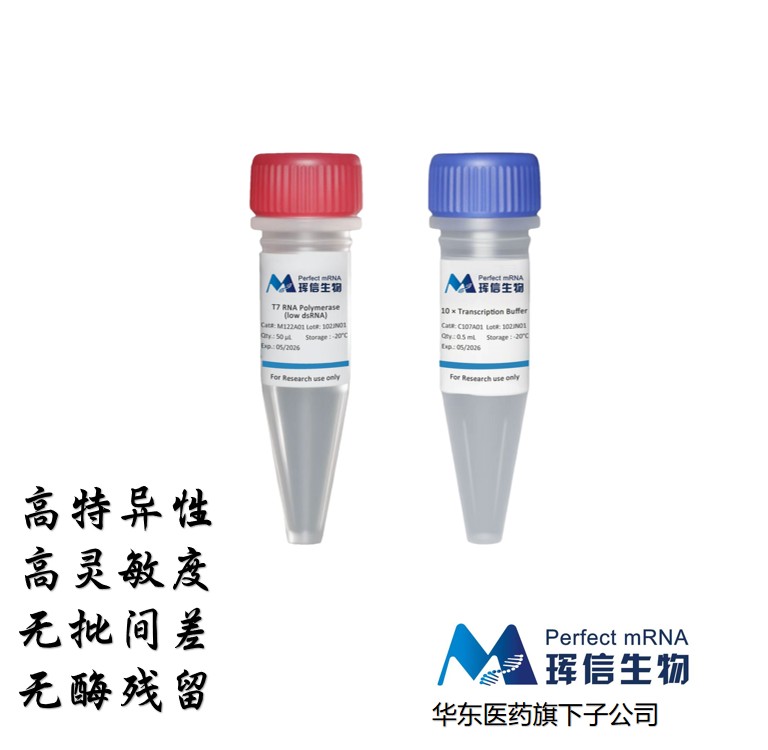 T7 RNA Polymerase(low dsRNA)