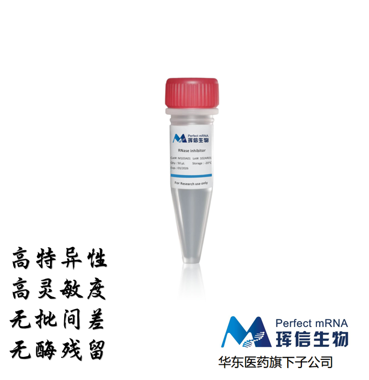 RNA酶抑制剂