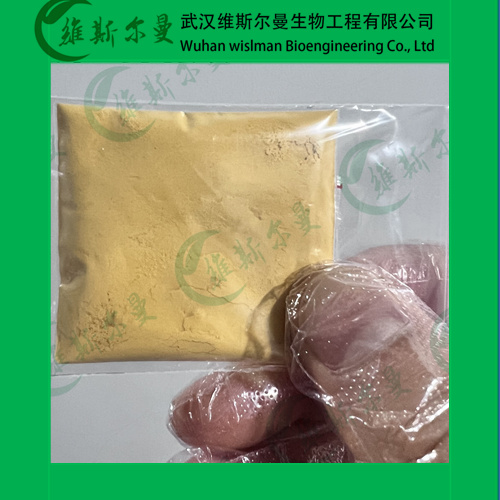 漆黄素来源于黄杨科常绿灌木或小乔木黄杨-528-48-3-纯度98%-植物提取-高纯化学试剂-找维斯尔曼王华