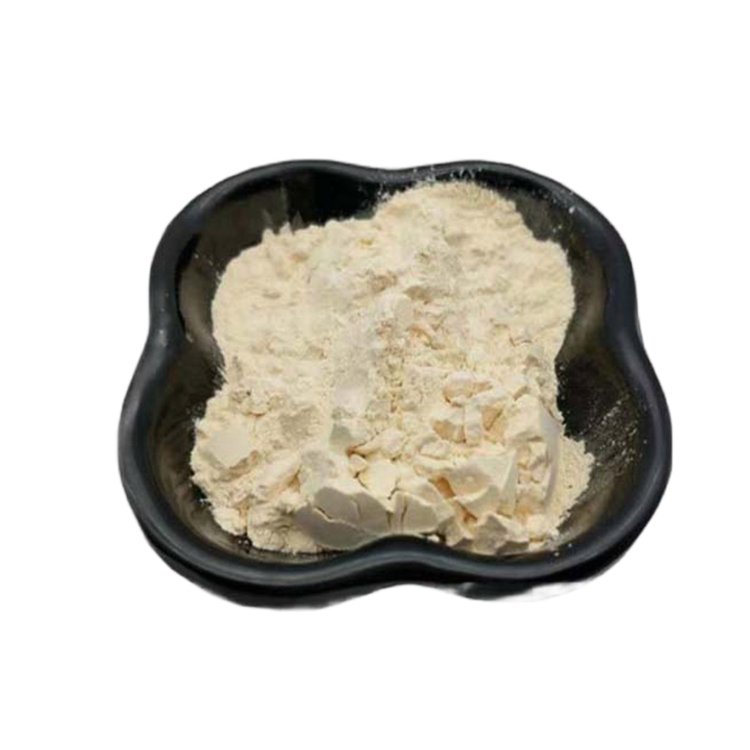 豌豆蛋白 食品级营养强化剂222400-29-5