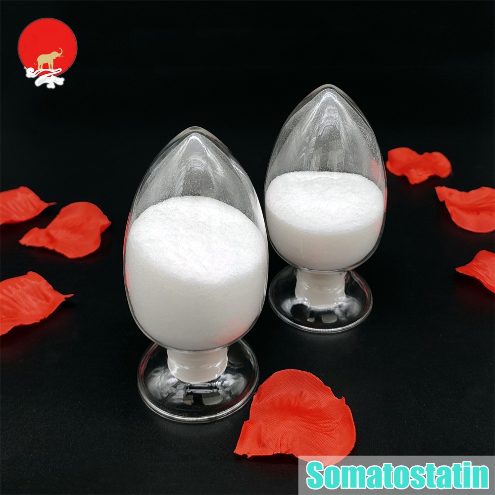 生长抑素 51110-01-1