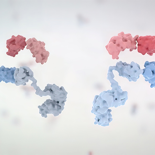 小鼠Integrin αEβ7蛋白, His Tag&Tag Free