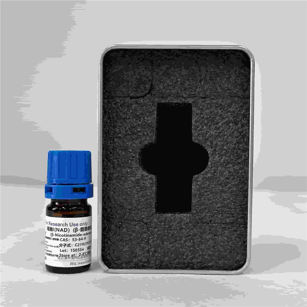 辅酶I（NAD）（β烟酰胺腺嘌呤二核苷酸），53-84-9