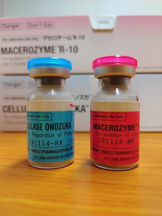 纤维素酶RS日本/YAKULT