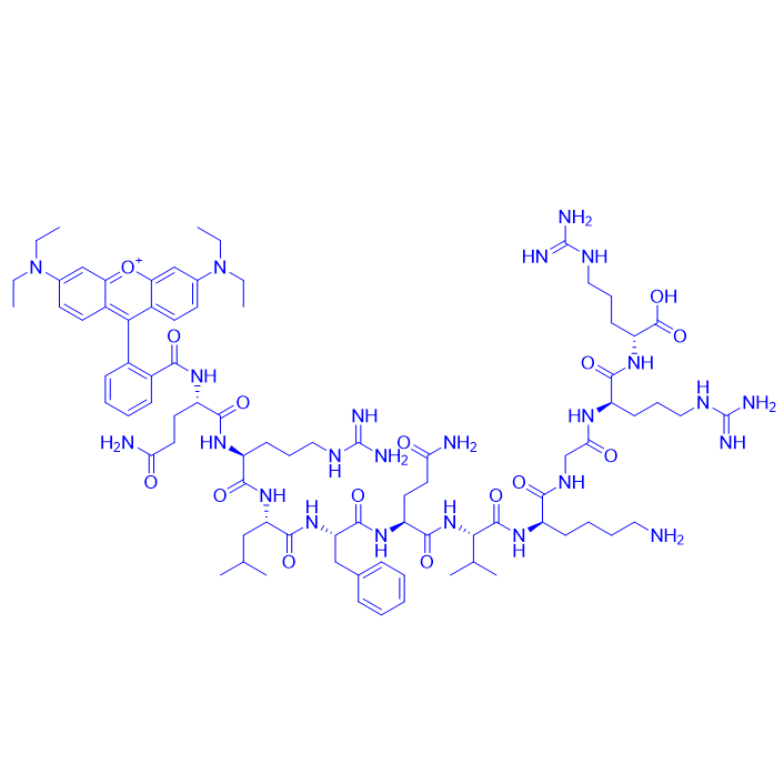 Ac-α-Endorphin /88264-63-5/α-内啡肽-Ac-α-Endorphin
