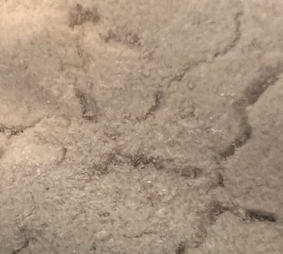 2-氨基对苯二甲酸二甲酯