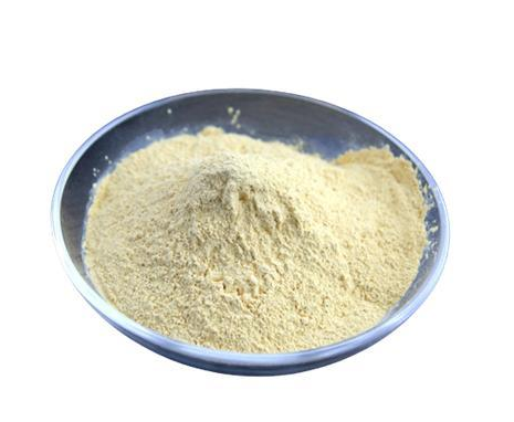 2,6-溴-[1,2,4]噻唑并[1,5-A]吡啶；1401624-81-4