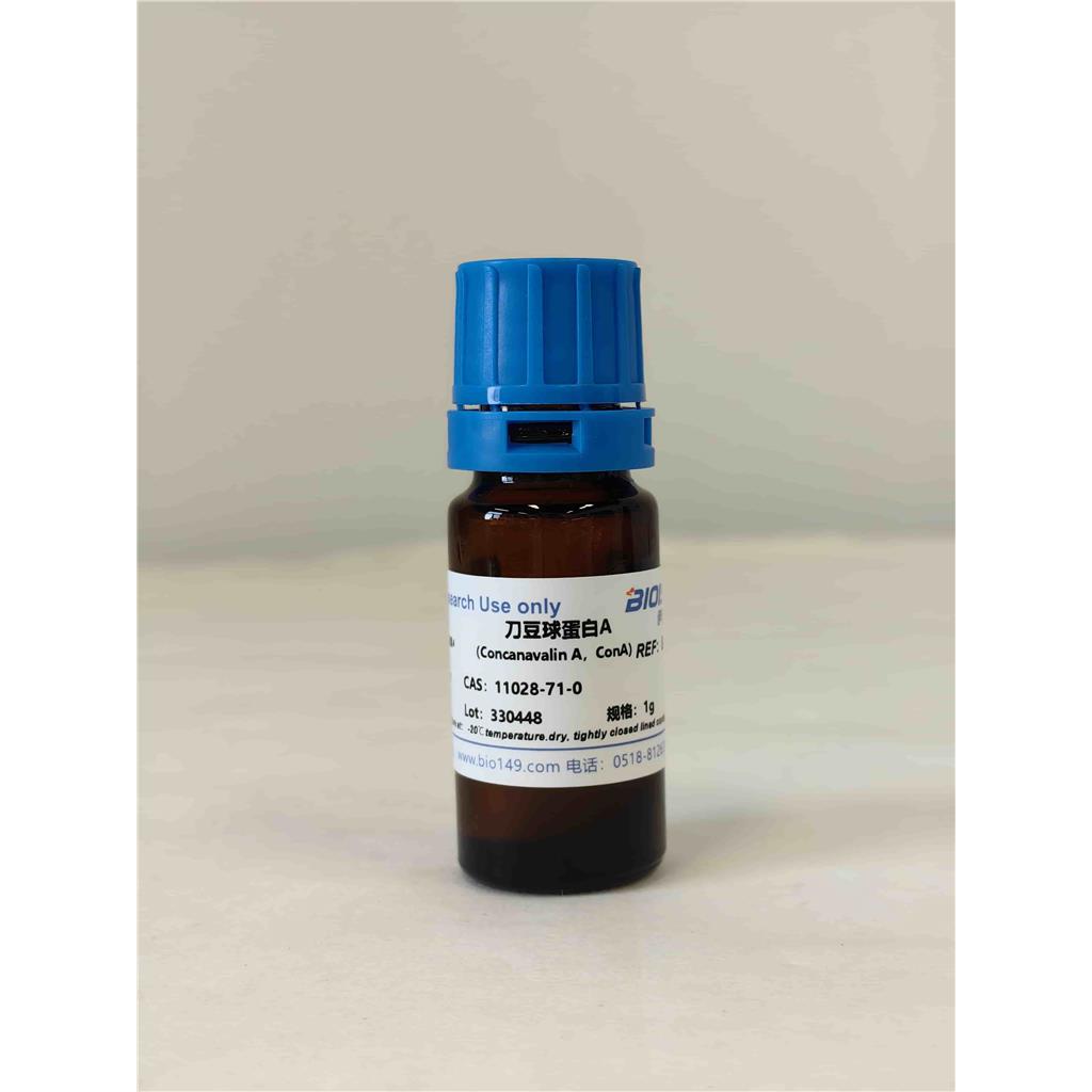 刀豆球蛋白A，11028-71-0